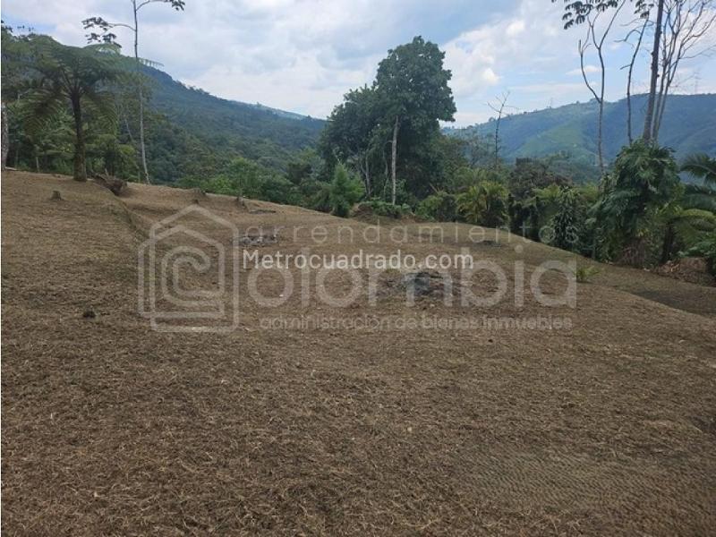 2BR Finca in Vereda Salinas (200 m²) - 3