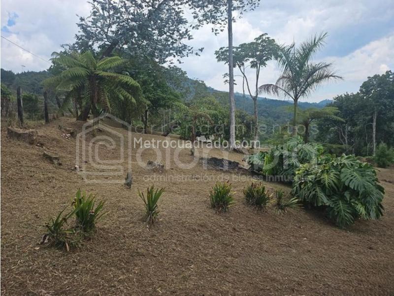2BR Finca in Vereda Salinas (200 m²) - 4