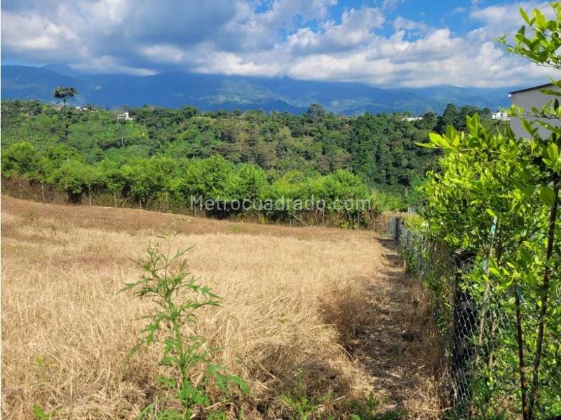 Lote en Venta, Caimo, Armenia - Vista 4