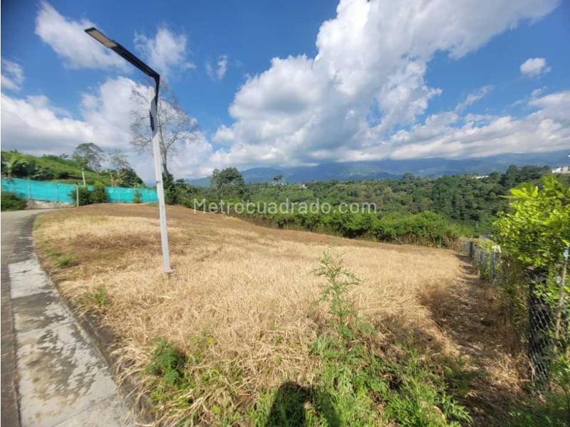 Lote en Venta, Caimo, Armenia - Vista 5