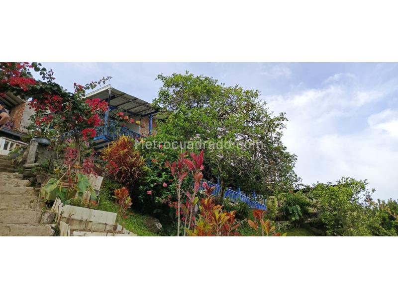 Casa – El Dos, Cisneros - Vista 2