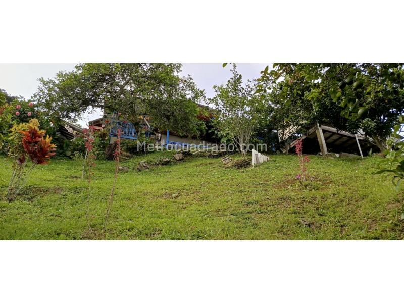 Casa – El Dos, Cisneros - Vista 3