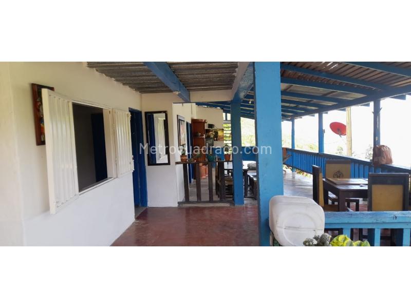 Casa – El Dos, Cisneros - Más