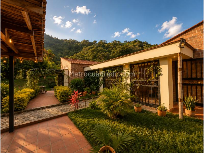 Casa – Barbosa - Vista 5