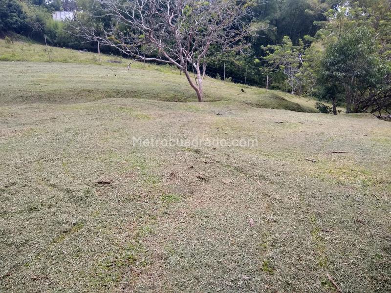 Lote en Venta, La Carmelita, Pereira - Vista 2