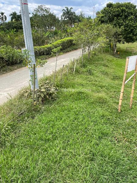 Lote en Venta, La Carmelita, Pereira - Vista 3