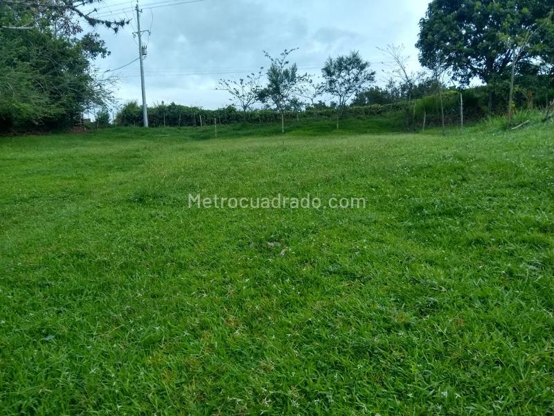 Lote en Venta, La Carmelita, Pereira - Vista 5