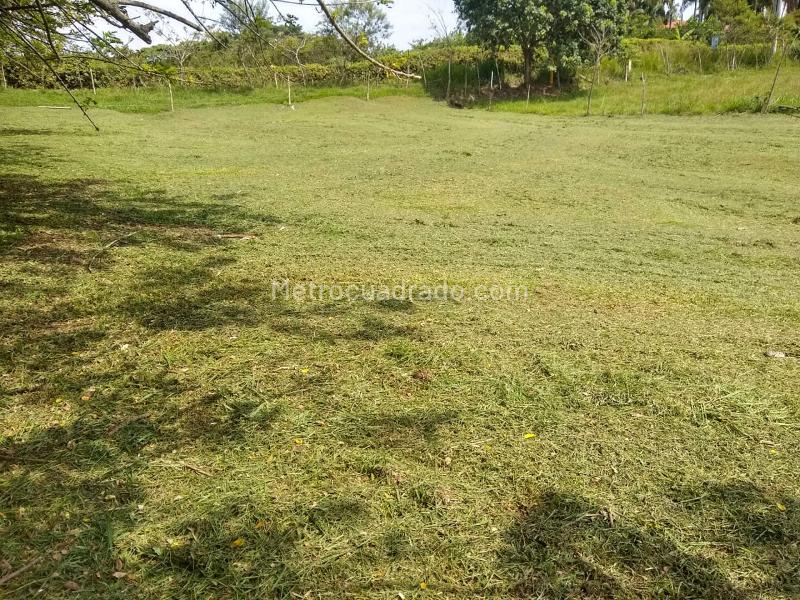 Lote en Venta, La Carmelita, Pereira - Más