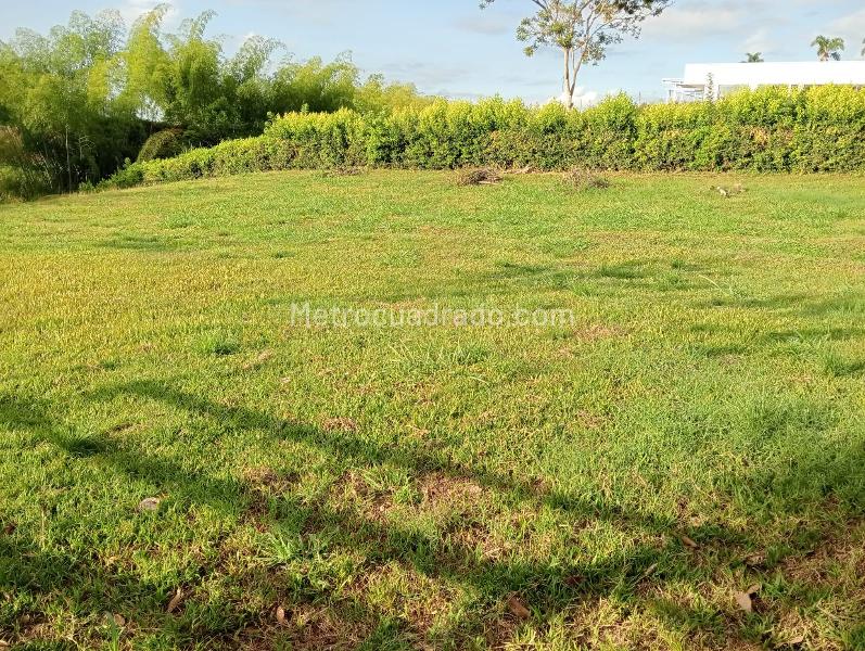 Lote en Venta, Cerritos, Pereira - Vista 4
