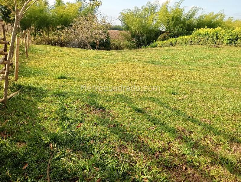 Lote en Venta, Cerritos, Pereira - Vista 5