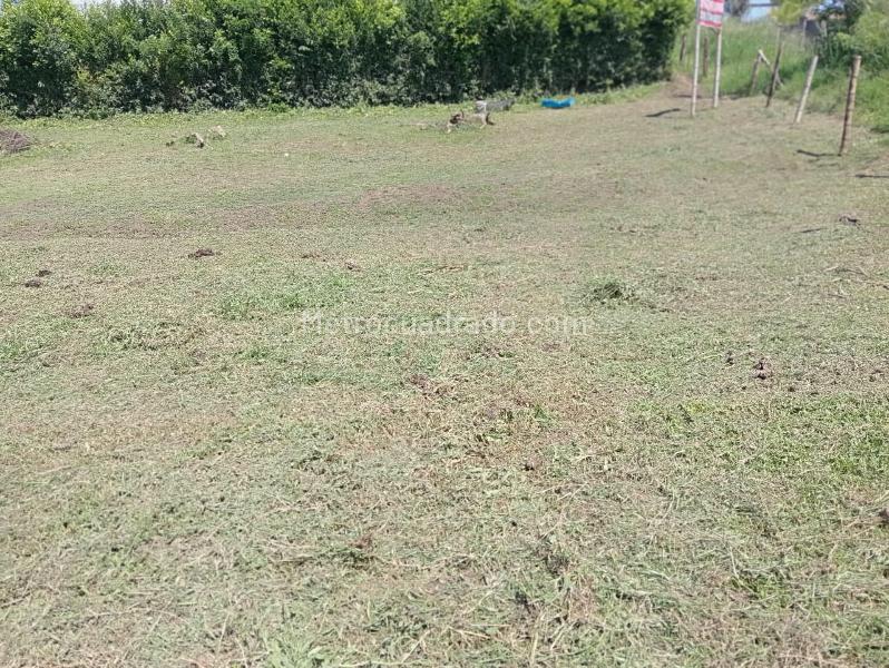 Lote en Venta, Cerritos, Pereira - Más