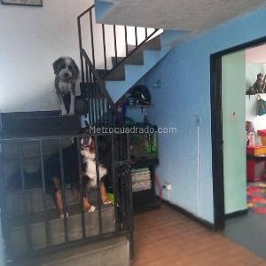 Casa de 4 alcobas en venta en Britalia, Bogotá, 307 m² · foto 18 de 19