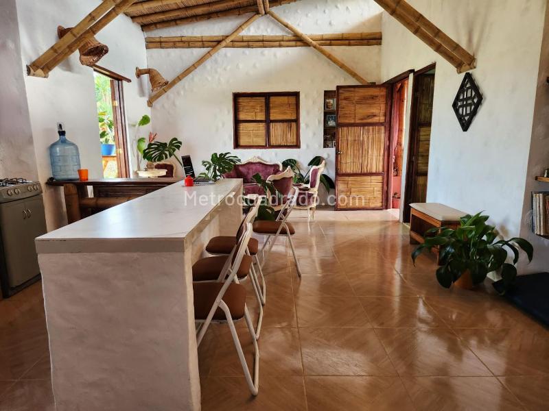 Casa – Filandia, Horizontes - Más
