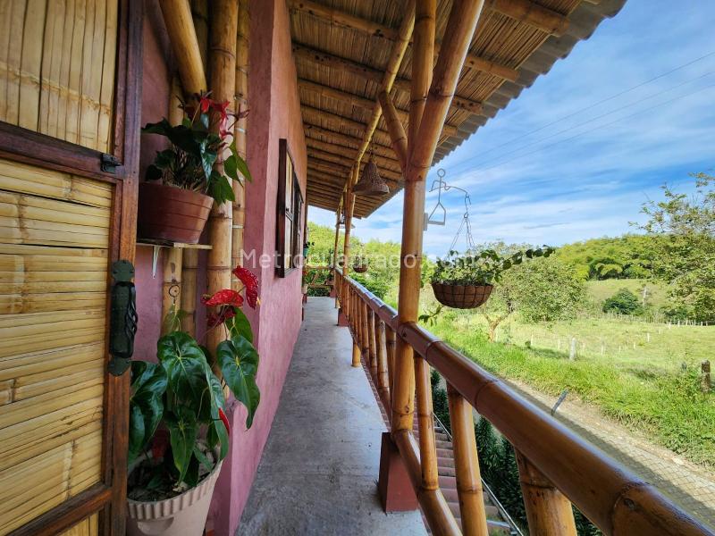 Casa – Filandia, Horizontes - Vista 3