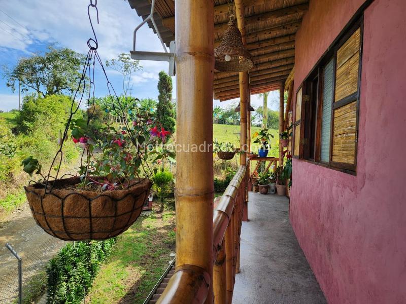 Casa – Filandia, Horizontes - Vista 4