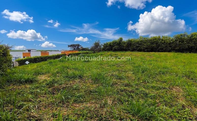 Lote en Venta, PARAJE COMBIA, Pereira - Vista 3