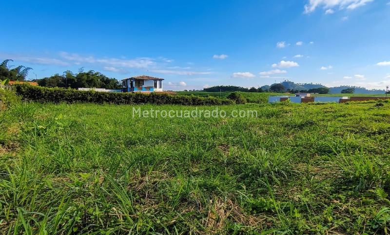 Lote en Venta, PARAJE COMBIA, Pereira - Vista 5