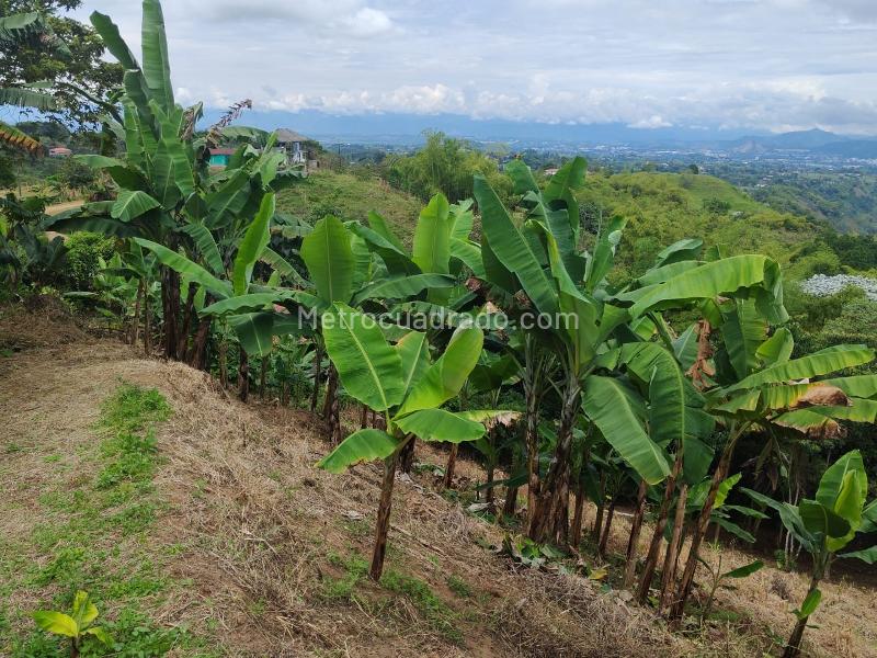 Lote en Venta, VEREDA TRIBUNAS, Pereira - Vista 2