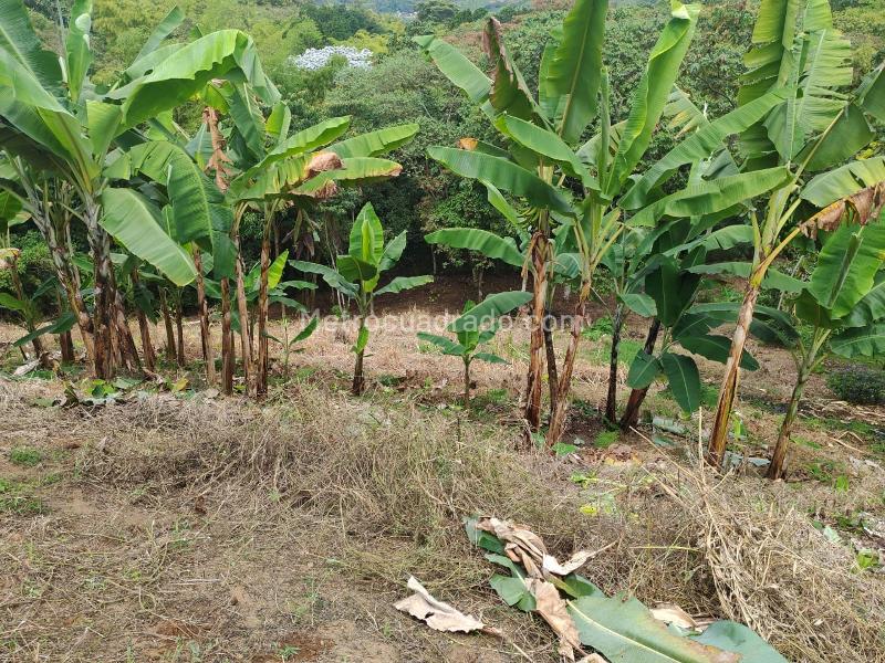 Lote en Venta, VEREDA TRIBUNAS, Pereira - Vista 3
