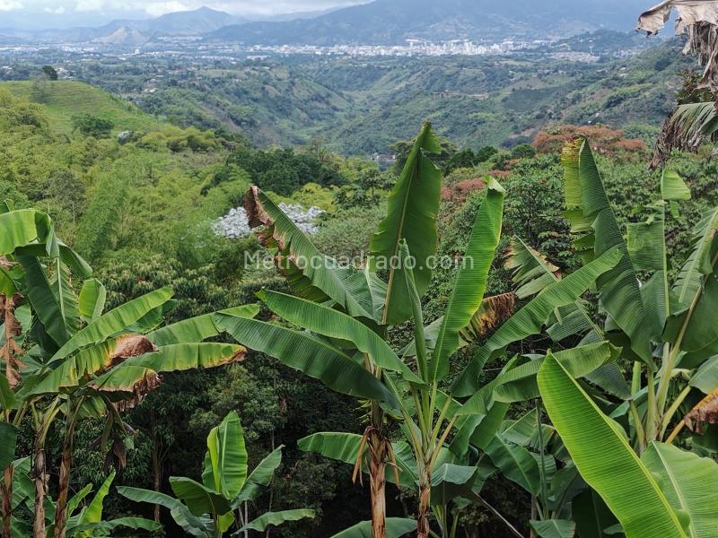 Lote en Venta, VEREDA TRIBUNAS, Pereira - Vista 4