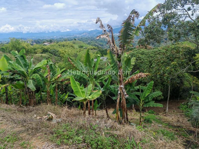 Lote en Venta, VEREDA TRIBUNAS, Pereira - Vista 5