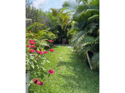 Casa de 3 alcobas en venta en Pueblito Cafetero, Pereira, 240 m² · foto 17 de 20