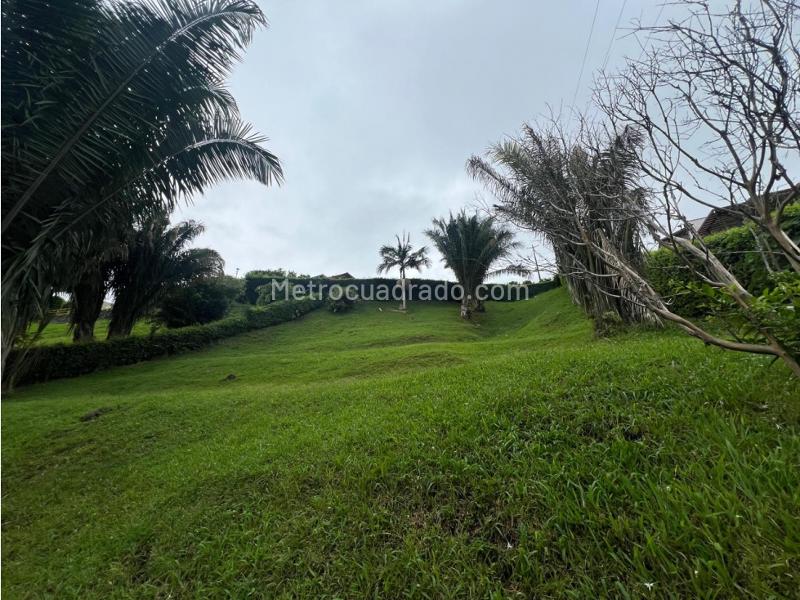 Lote en Venta, Cerritos, Pereira - Más