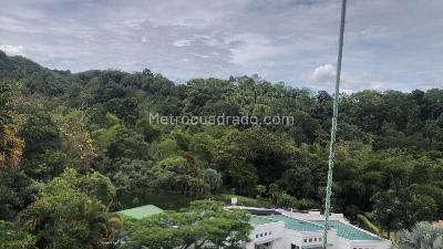Casa de 4 alcobas en venta en Casa Campestre, Ibagué, 336 m² · foto 11 de 20