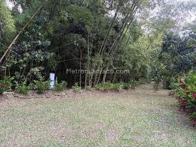 Casa de 4 alcobas en venta en Sector Vergel, Ibagué, 270 m² · foto 18 de 20