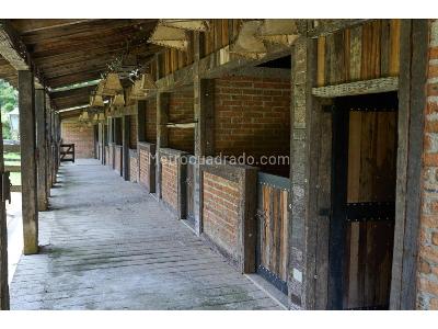 Casa de 3 alcobas en venta en El Poblado, Medellín, 385 m² · foto 18 de 20