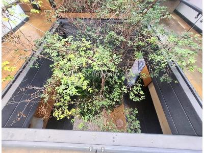 Casa de 4 alcobas en venta en Envigado Loma Del Atravesado, Envigado, 345 m² · foto 17 de 17