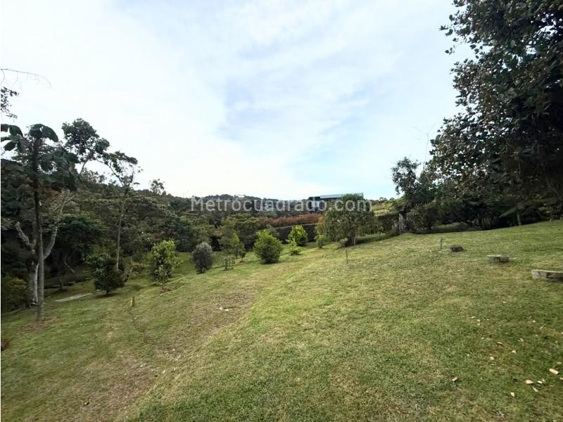 Lote en Venta, Alto Palmas La Acuarela, Envigado - Vista 5
