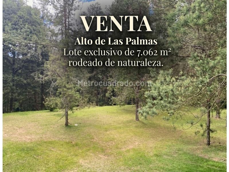 Lote en Venta, Alto De Palmas, Envigado - Vista 2