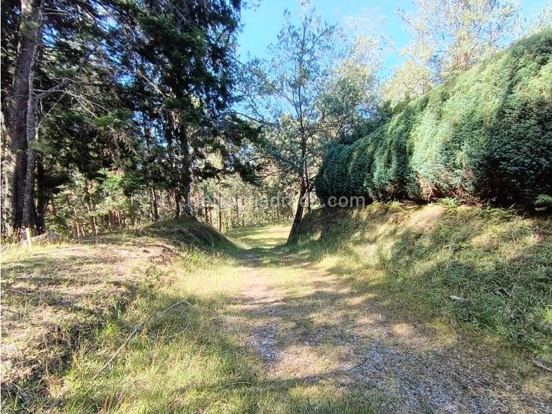 Lote en Venta, Alto De Palmas, Envigado - Vista 3