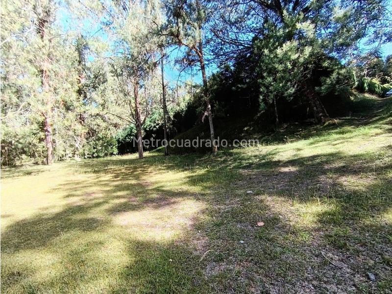 Lote en Venta, Alto De Palmas, Envigado - Vista 5