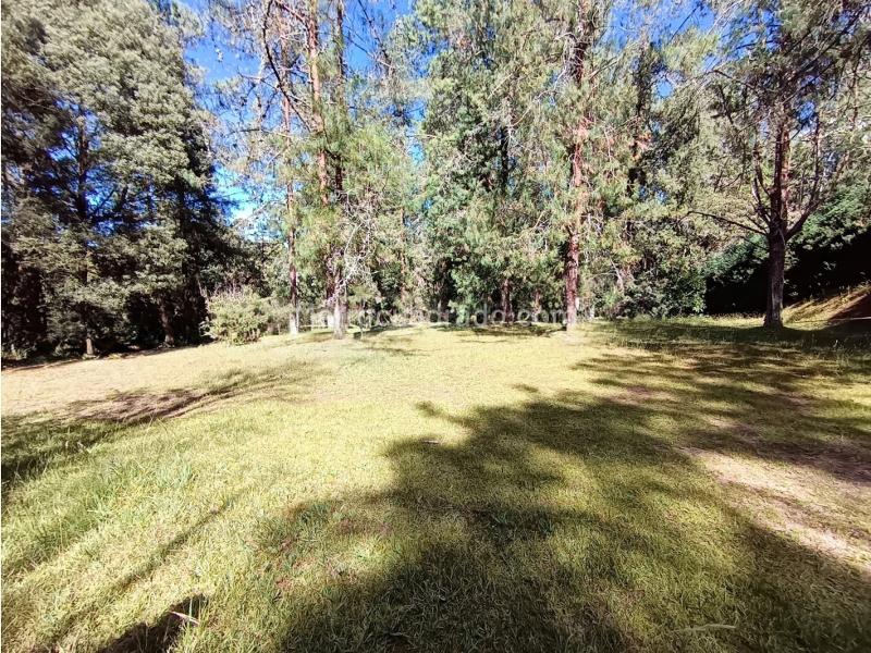 Lote en Venta, Alto De Palmas, Envigado - Más