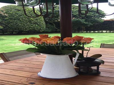 Casa de 4 alcobas en venta en Santa Ana De Chia, Chía, 400 m² · foto 7 de 18