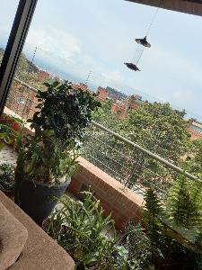 Apartamento en venta en Los Rosales, Bogotá · foto 10 de 20