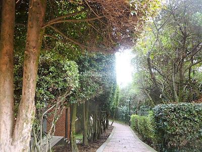 Casa de 3 alcobas en venta en Colina Campestre Delmonte, Bogotá, 138 m² · foto 20 de 20