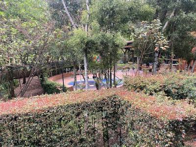 Casa de 3 alcobas en venta en Colina Campestre Delmonte, Bogotá, 140 m² · foto 10 de 18