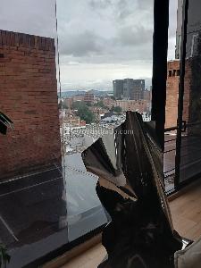 Apartamento de 3 alcobas en venta en Los Rosales Emaus, Bogotá, 180 m² · foto 3 de 14