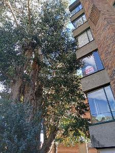 Apartamento de 2 alcobas en venta en Bella Suiza Altos De, Bogotá, 77 m² · foto 3 de 18