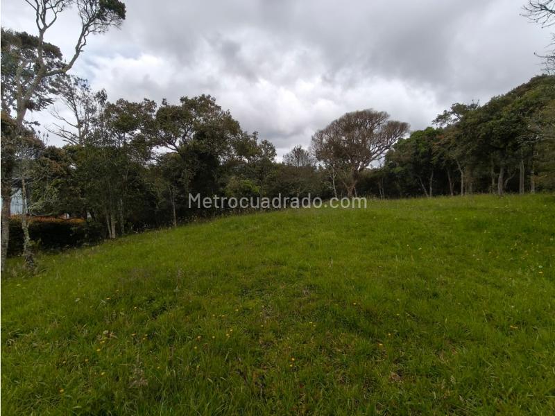 Lote en Venta, Alto De Las Palmas, Medellín - Vista 2