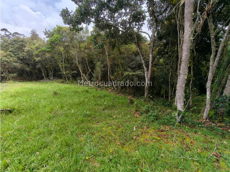 Lote en Venta, Alto De Las Palmas, Medellín - Vista 3