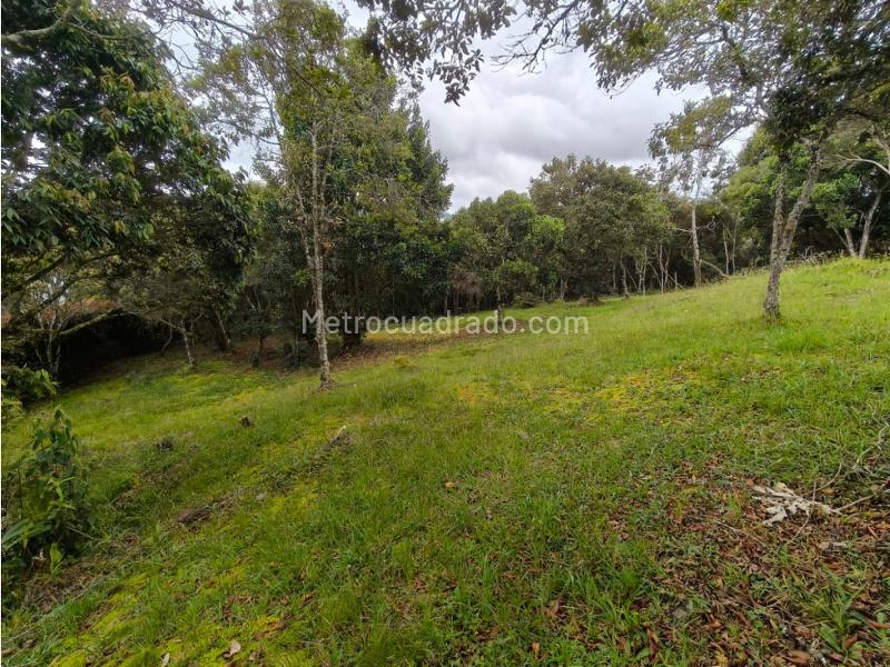 Lote en Venta, Alto De Las Palmas, Medellín - Vista 4