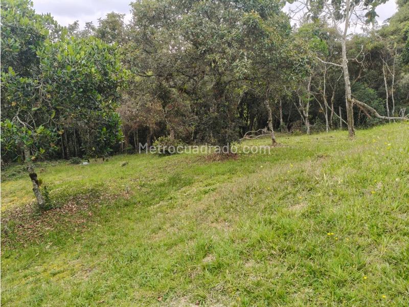 Lote en Venta, Alto De Las Palmas, Medellín - Vista 5