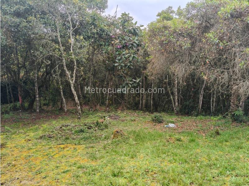 Lote en Venta, Alto De Las Palmas, Medellín - Más