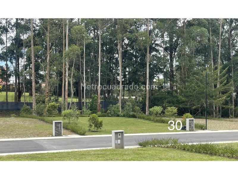 Lote en Venta, Llanogrande, Rionegro - Vista 2