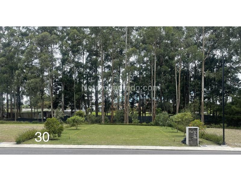 Lote en Venta, Llanogrande, Rionegro - Vista 4