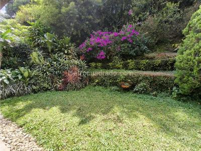 Casa de 3 alcobas en venta en Los Balsos, Medellín, 217 m² · foto 8 de 20